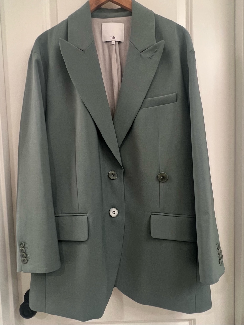 Tibi Liam blazer in Mint